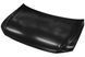 Капот сталевий USA VW TIGUAN 17&ndash;20 (TEMPEST) 051 5557 281 69841377314-omg фото 1